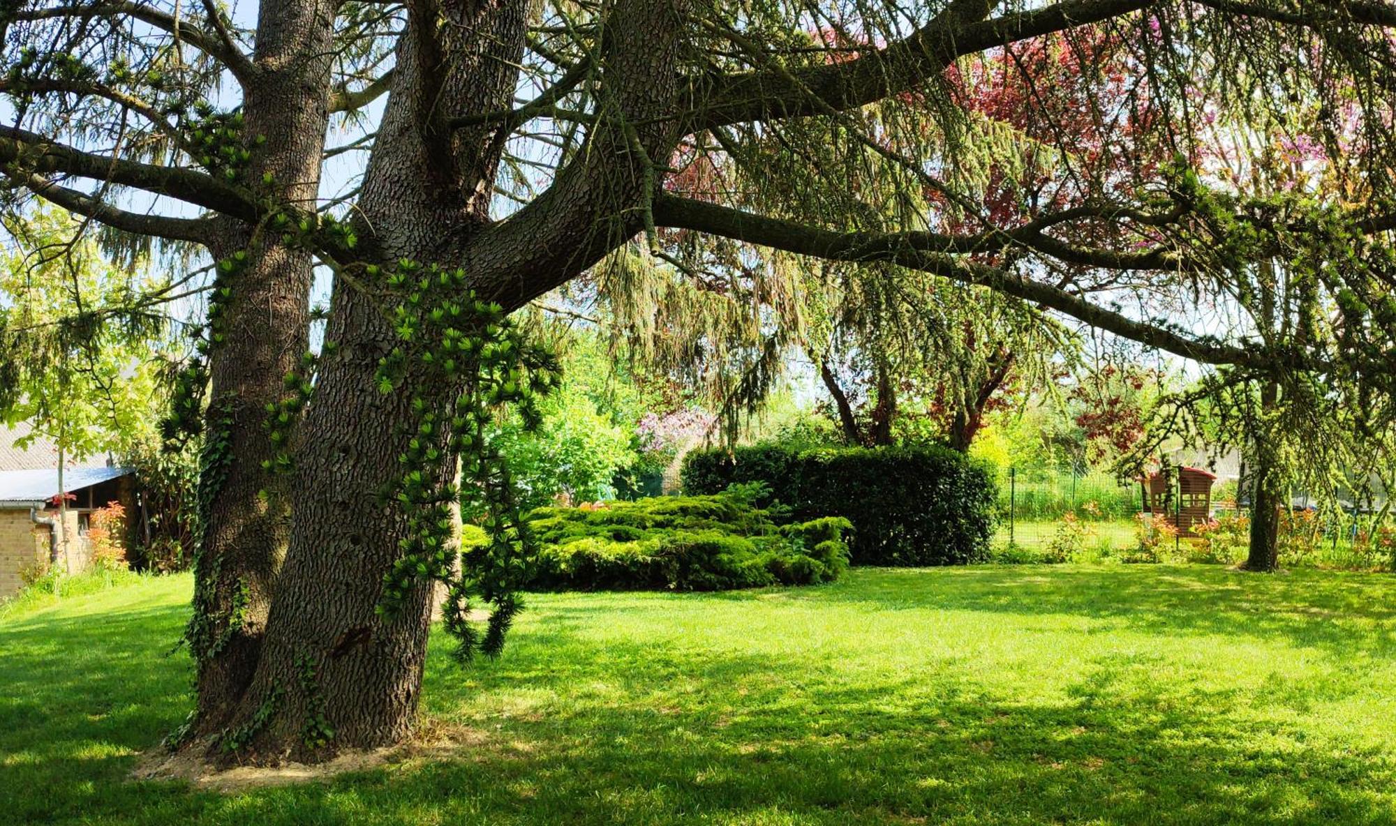 Hedoniste 1 Villa Herpy-l'Arlesienne Luaran gambar