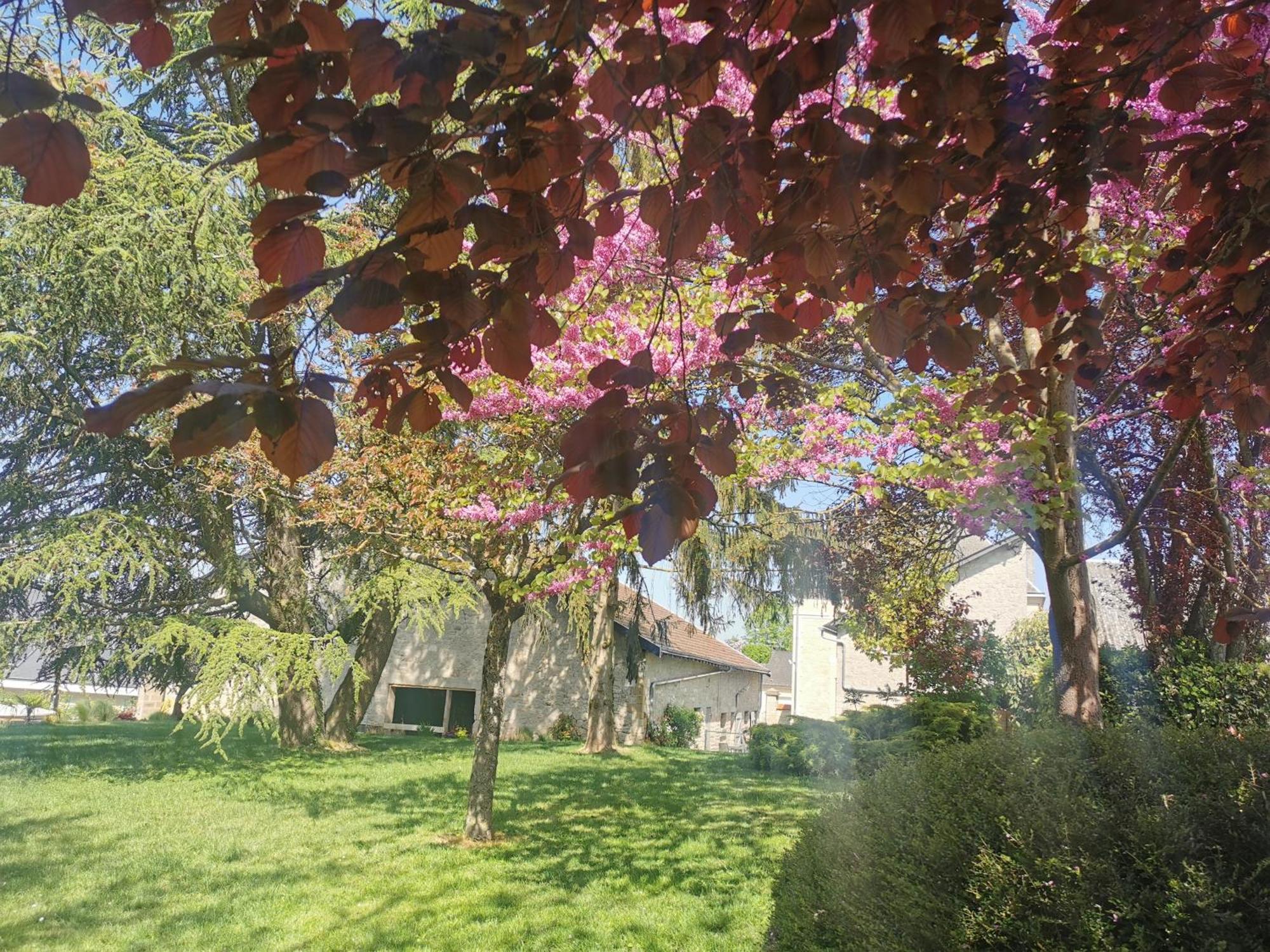 Hedoniste 1 Villa Herpy-l'Arlesienne Luaran gambar